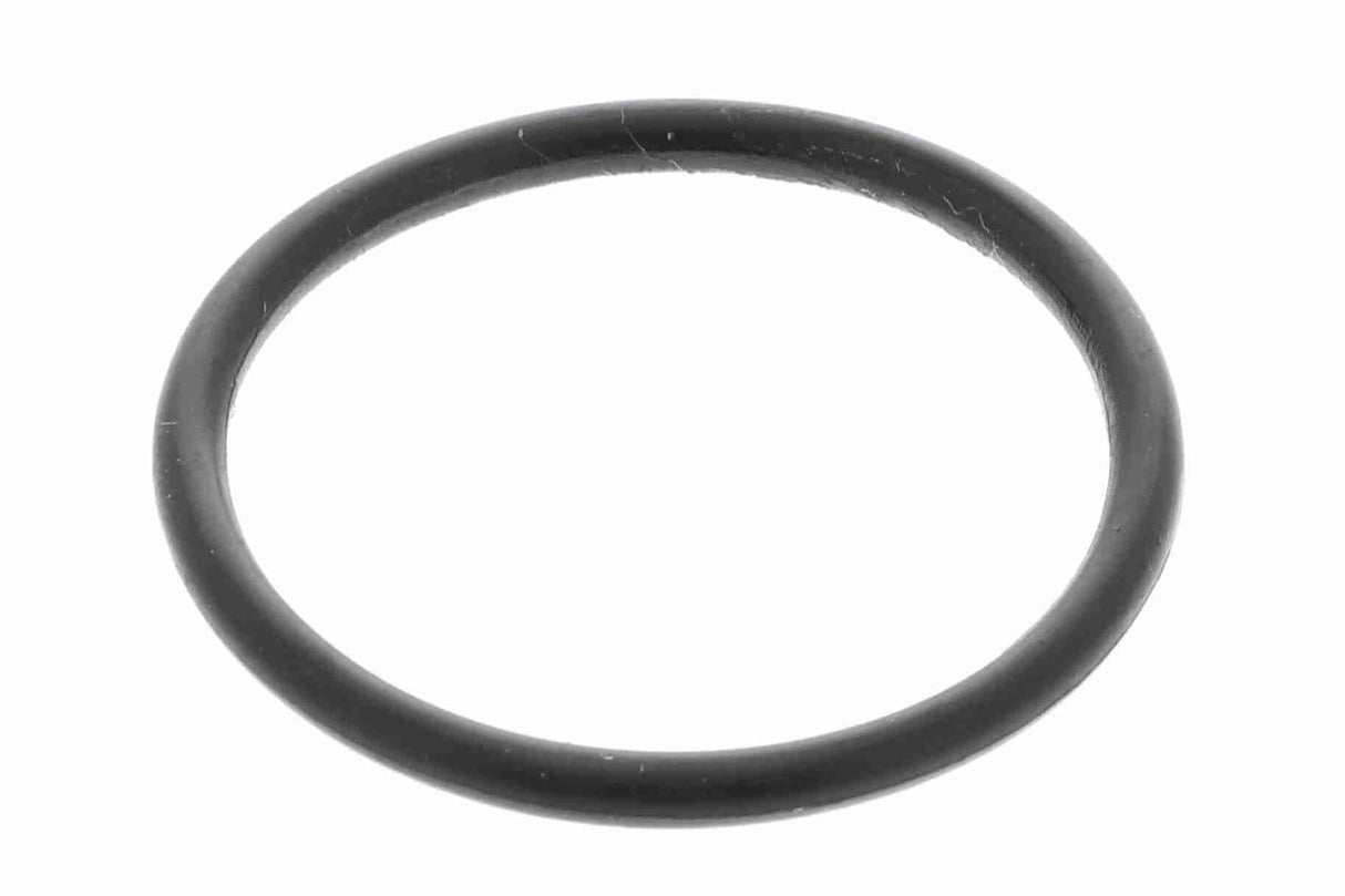 Hydraulic Filter, automatic transmission - V10-1781