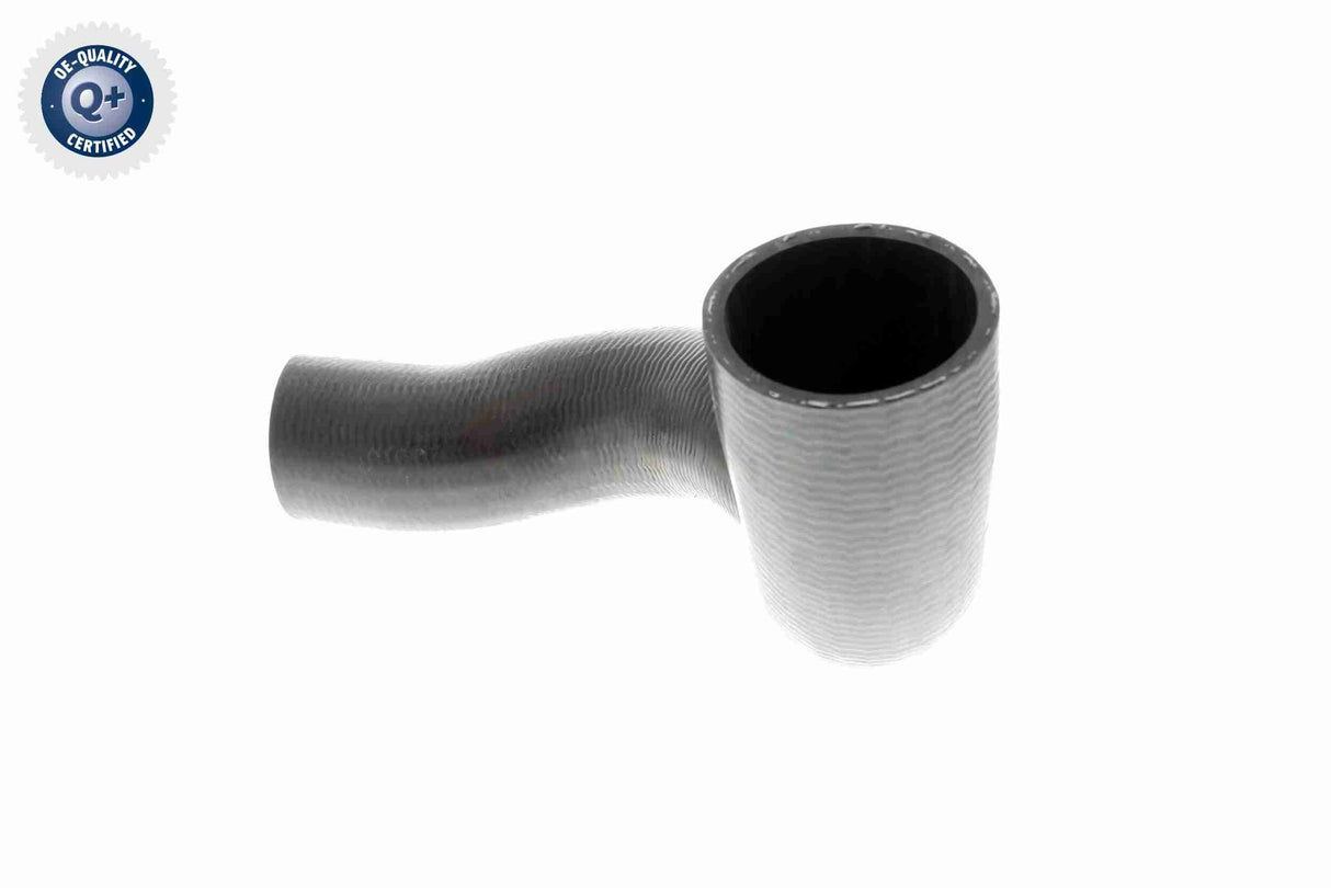 Charge Air Hose - V95-0352