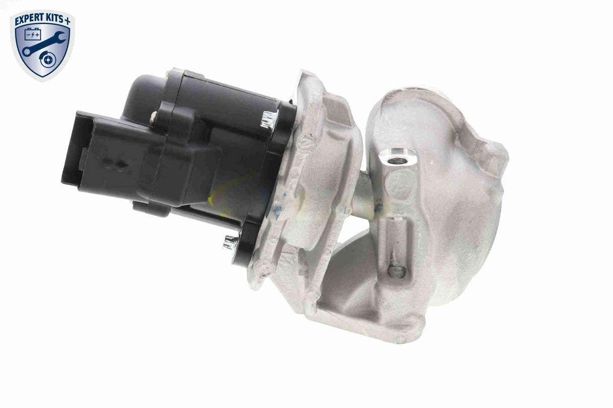 Valve, exhaust gas recirculation - V42-63-0002