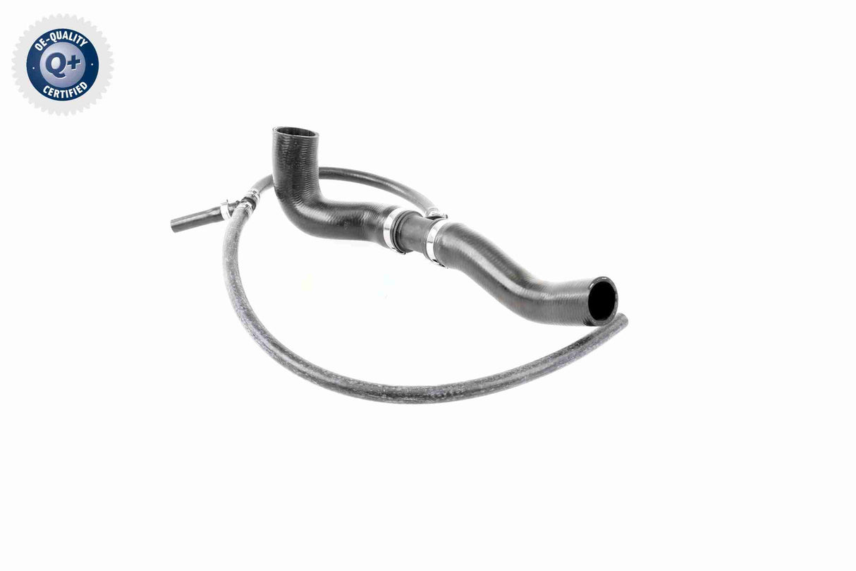 Radiator Hose - V10-4809