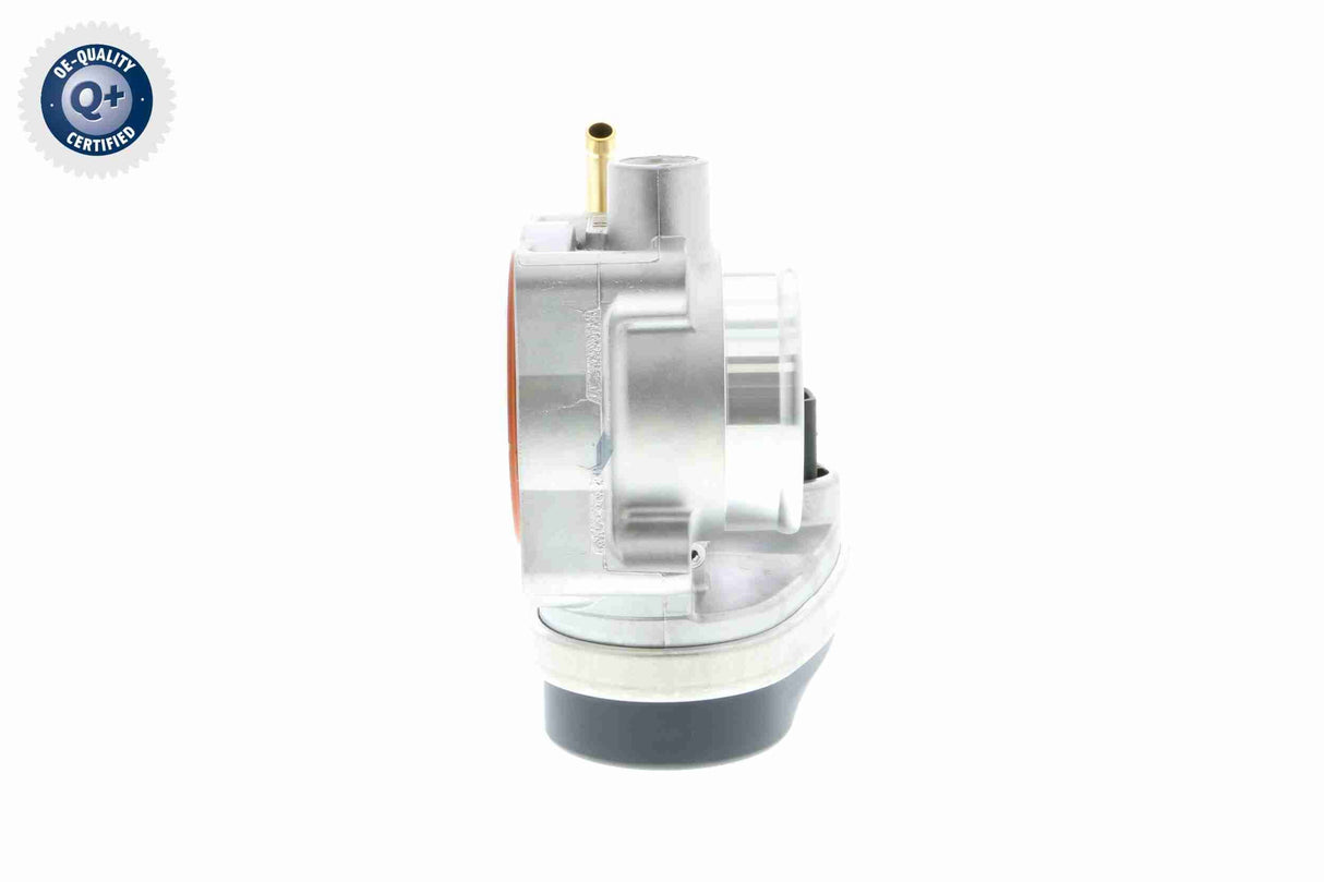 Throttle Body - V20-81-0020