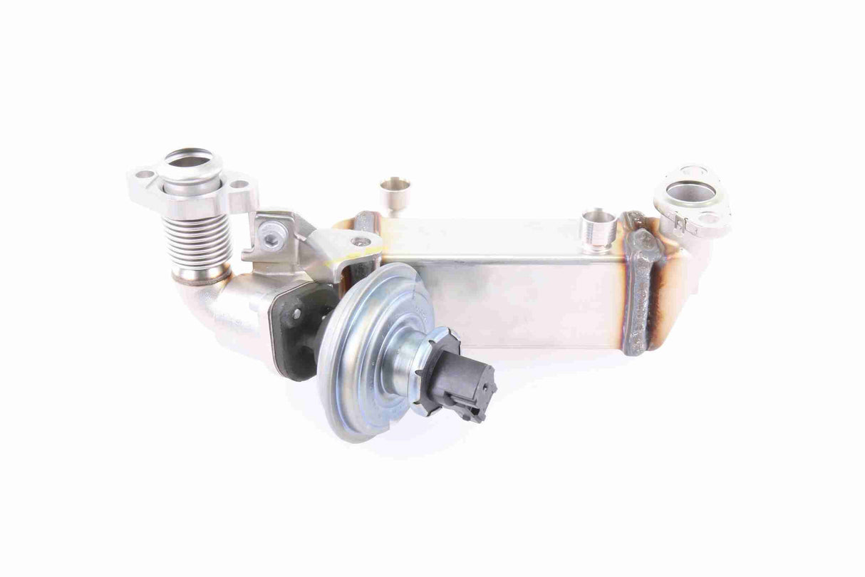 Cooler, exhaust gas recirculation - V20-63-0038