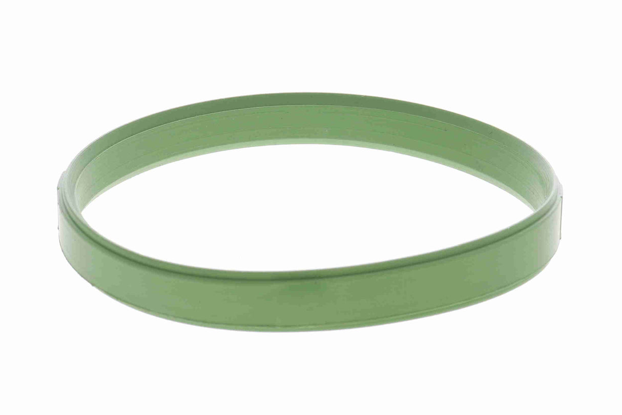 Gasket, throttle body - V20-81-0035