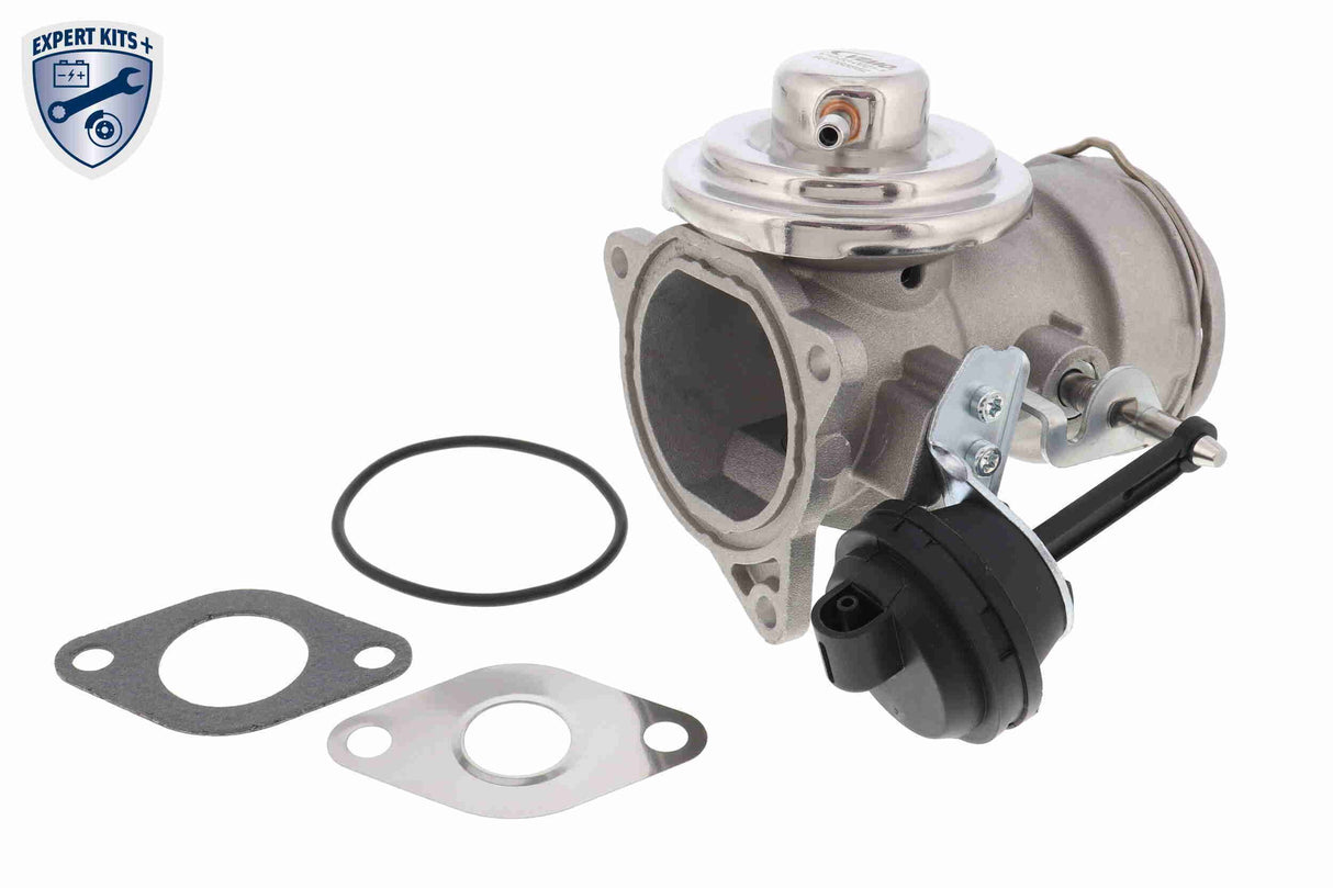Valve, exhaust gas recirculation - V10-63-0021-1