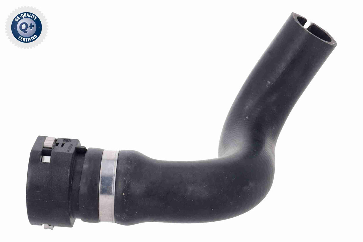 Radiator Hose - V24-1428