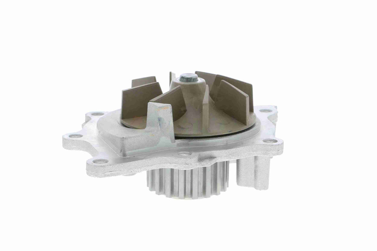 Water Pump, engine cooling - V25-50028