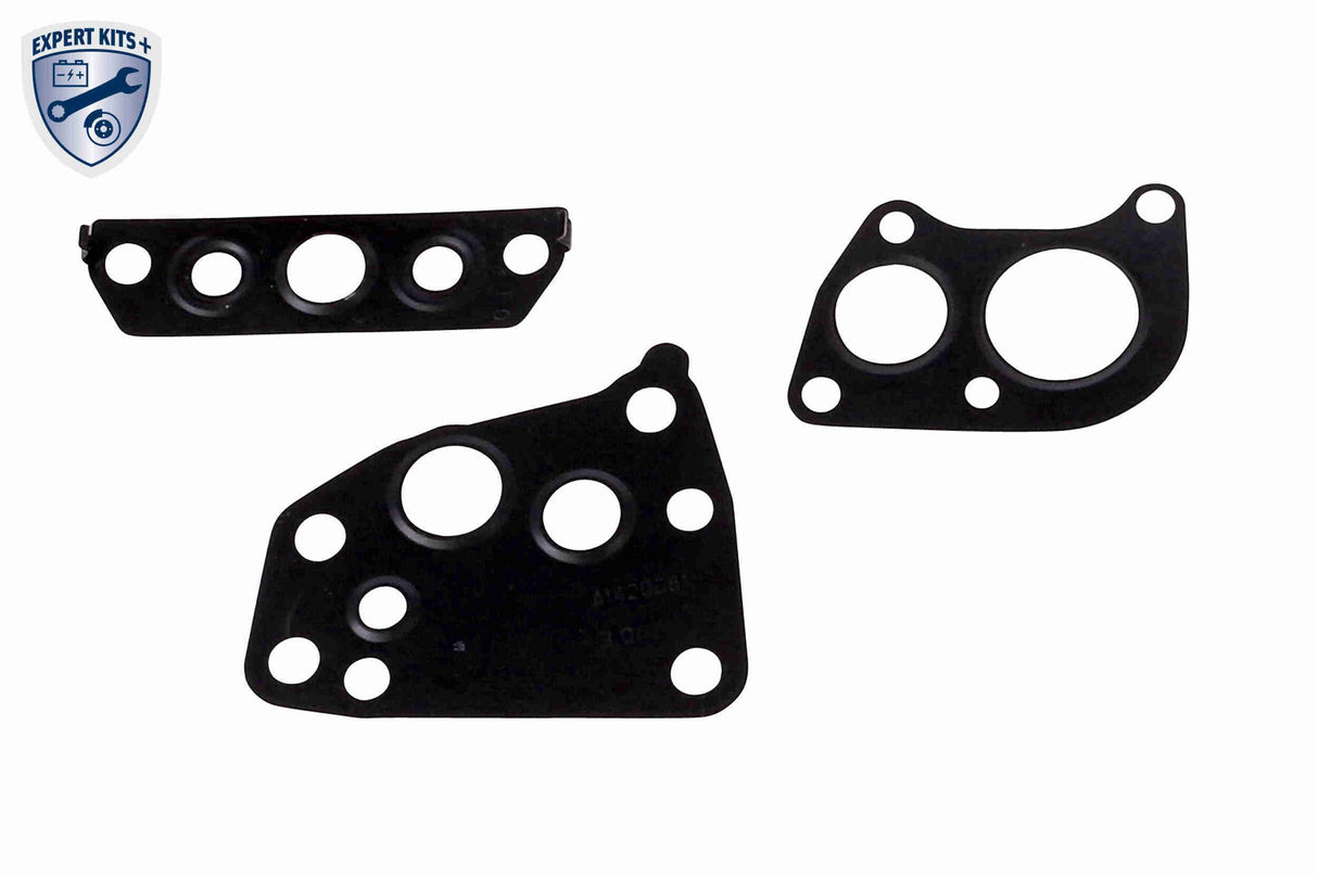 Gasket Set, oil cooler - V30-60-91317