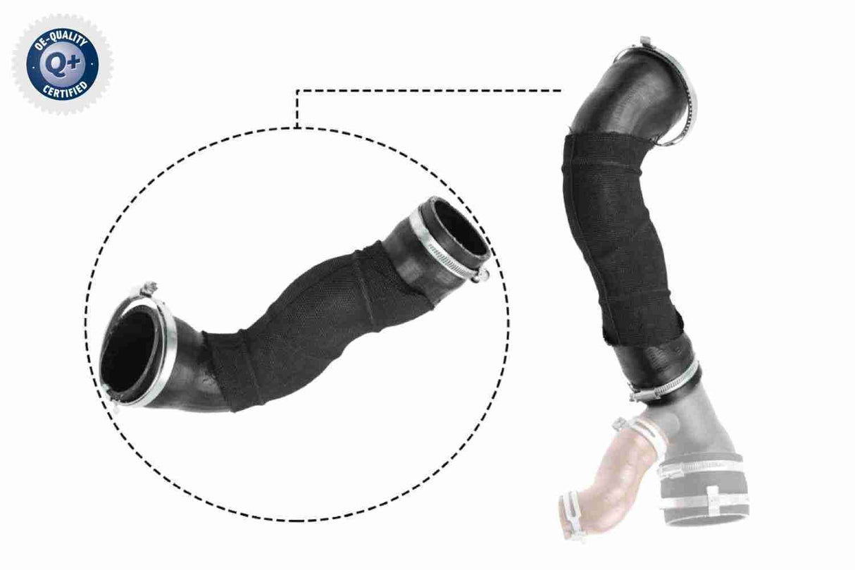 Charge Air Hose - V25-1033
