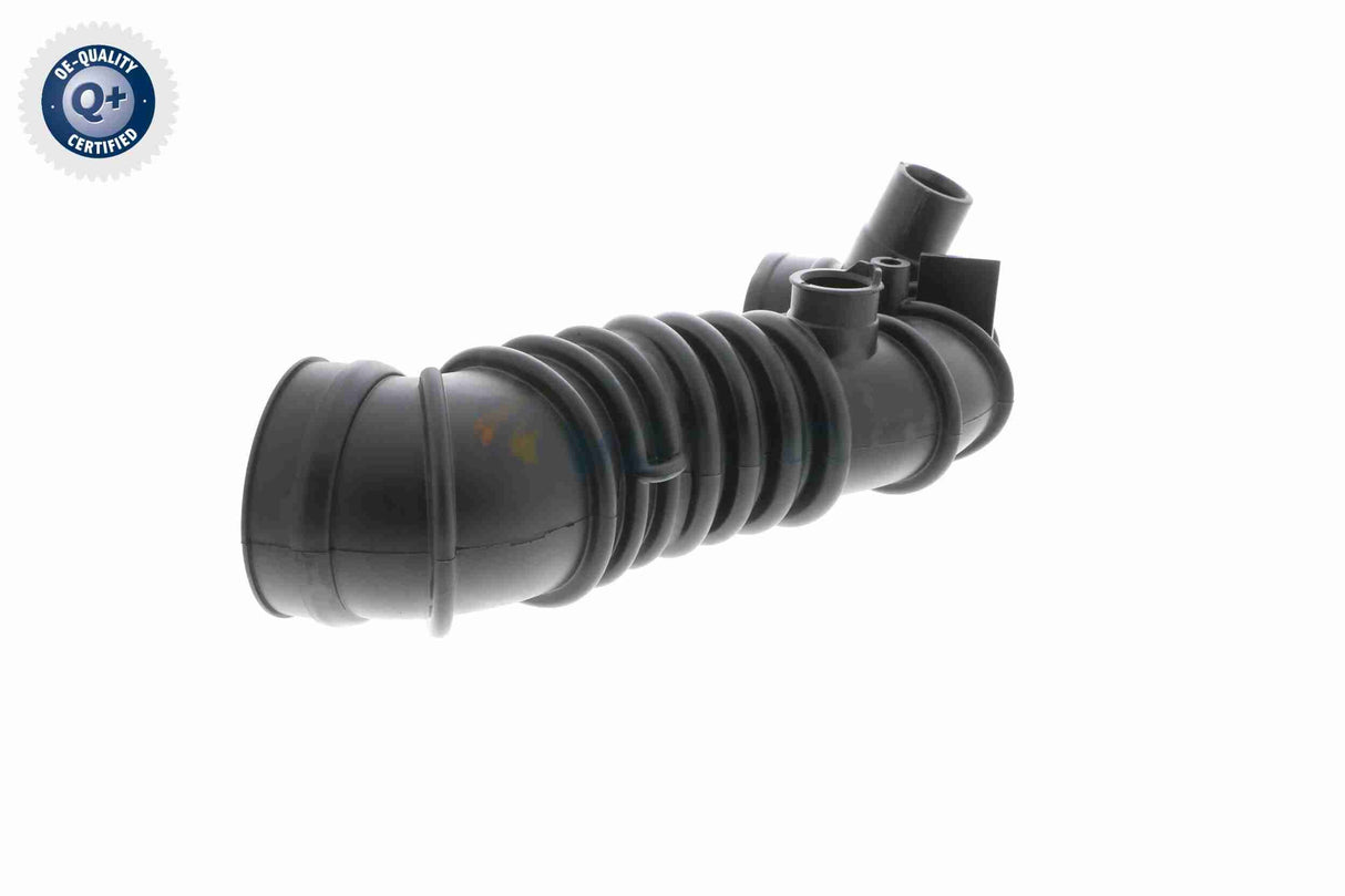 Intake Hose, air filter - V10-2682