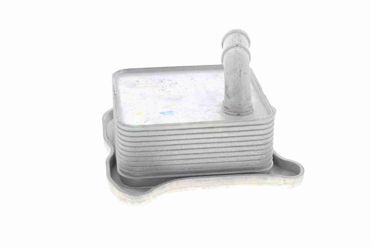 Oil Cooler, engine oil - V15-60-6062
