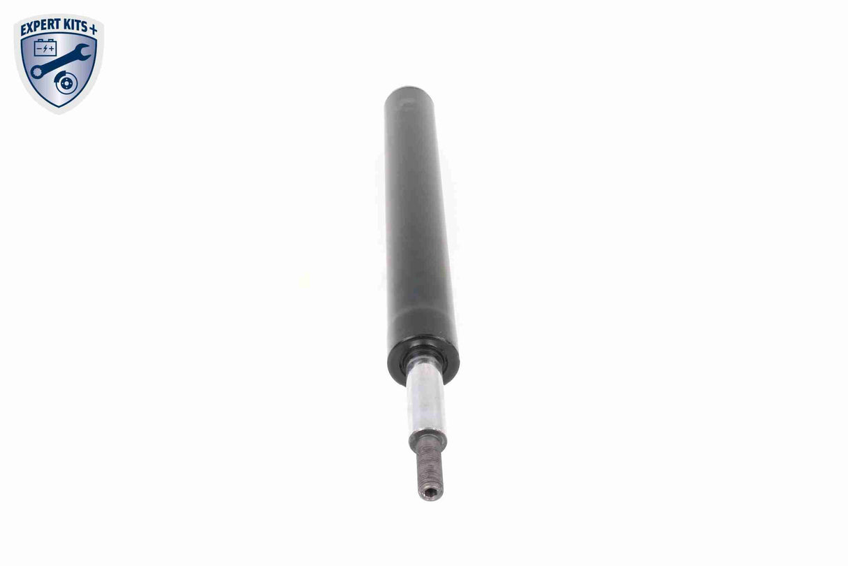Shock Absorber - V10-1704