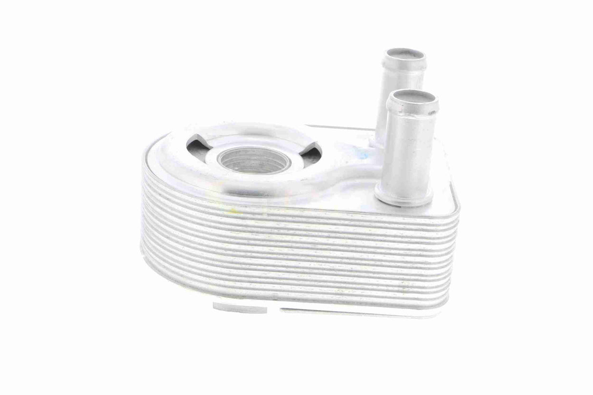 Oil Cooler, engine oil - V25-60-0028