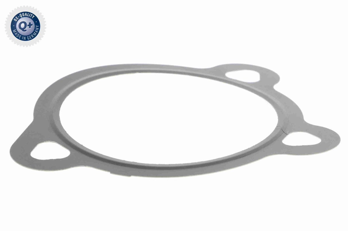 Seal - V24-63-0014