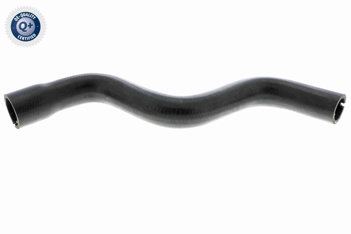 Radiator Hose - V24-0875