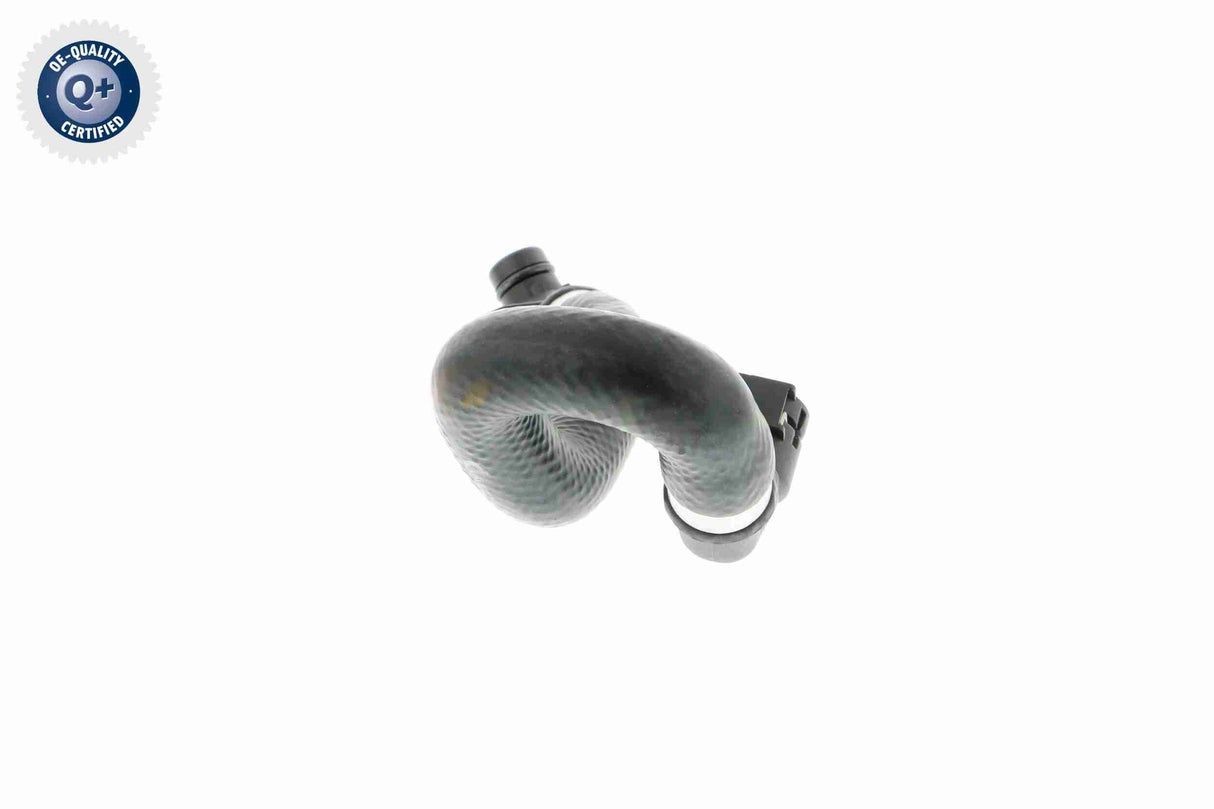 Radiator Hose - V20-1268