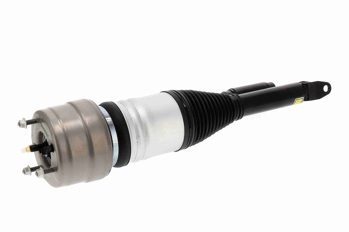 Air Suspension Strut - V30-50-0059