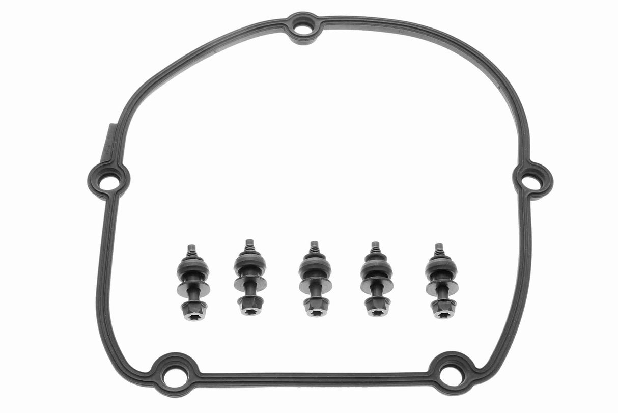 Timing Case Cover - V10-4898