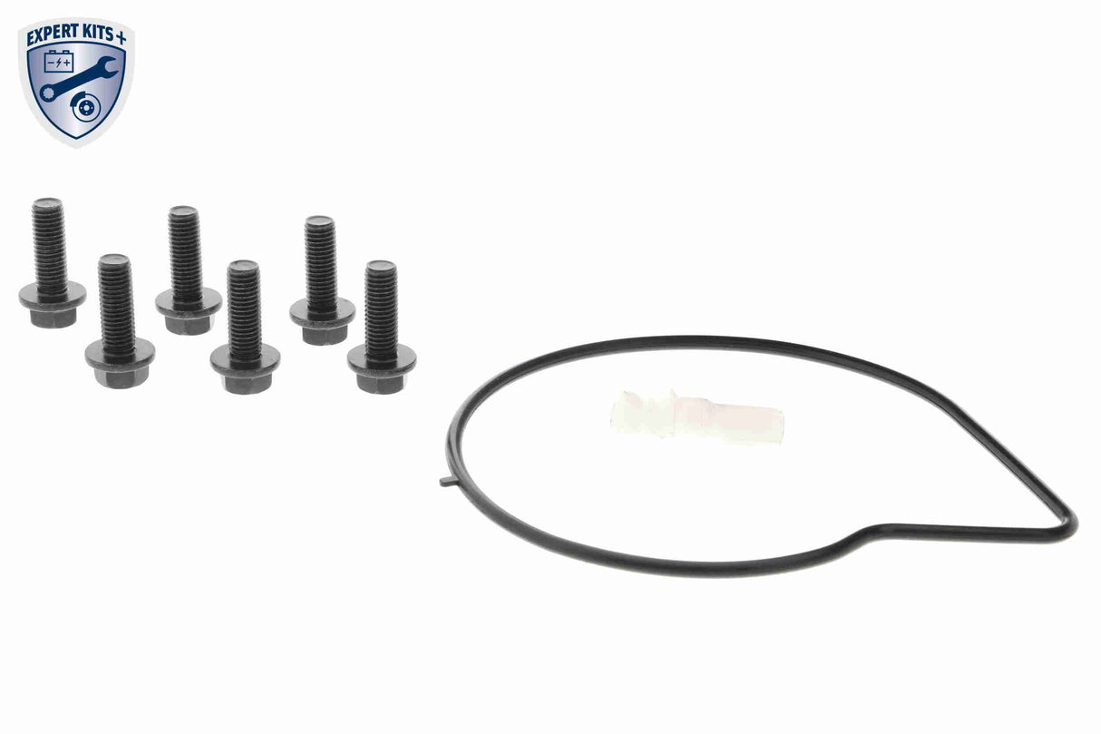 Water Pump, engine cooling - V48-50004