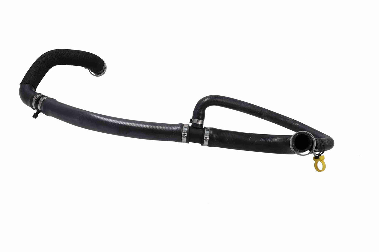 Radiator Hose - V46-1974