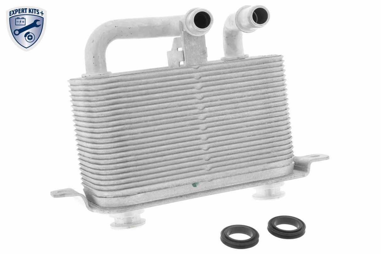 Oil Cooler, automatic transmission - V20-60-0032