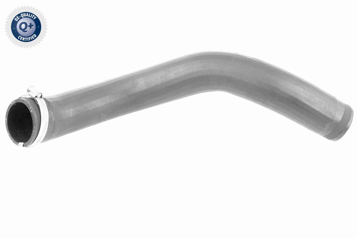 Charge Air Hose - V10-3777