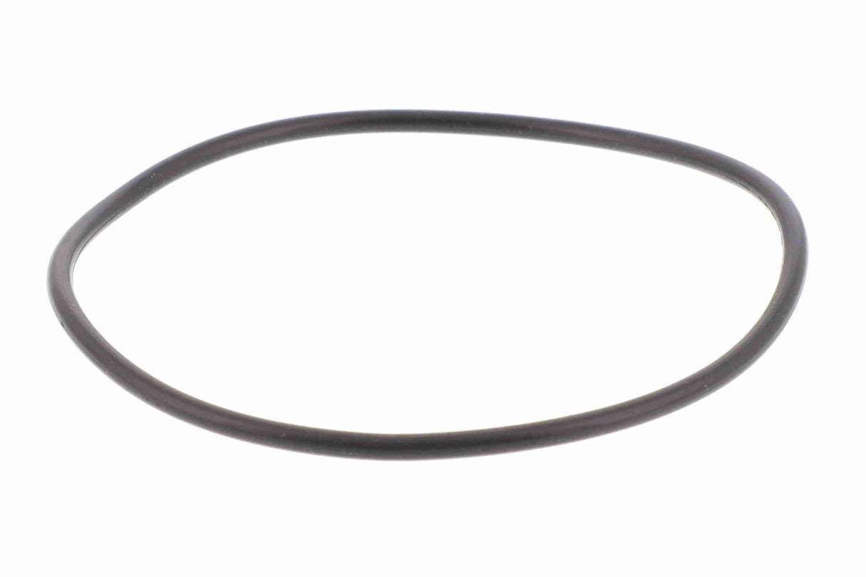 Hydraulic Filter, automatic transmission - V10-5394