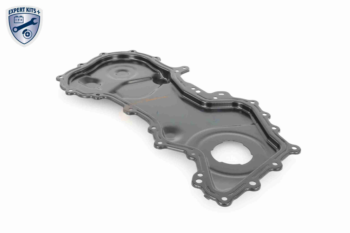 Timing Case Cover - V46-1514