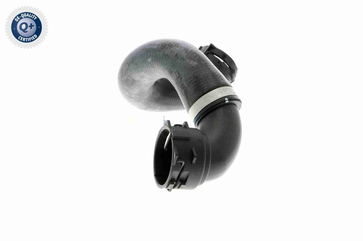 Radiator Hose - V20-1780