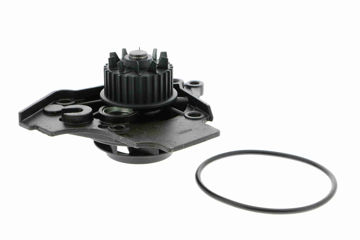 Water Pump, engine cooling - V10-50072
