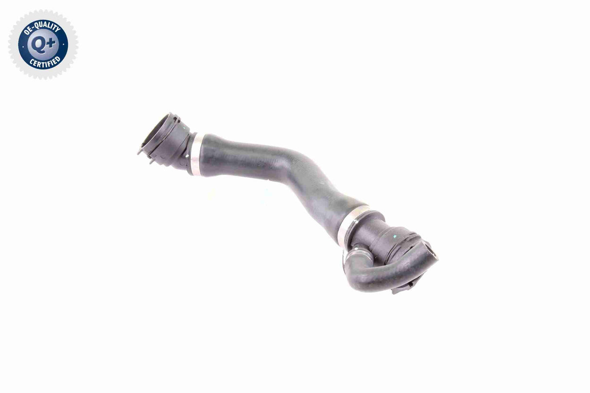 Radiator Hose - V20-1331