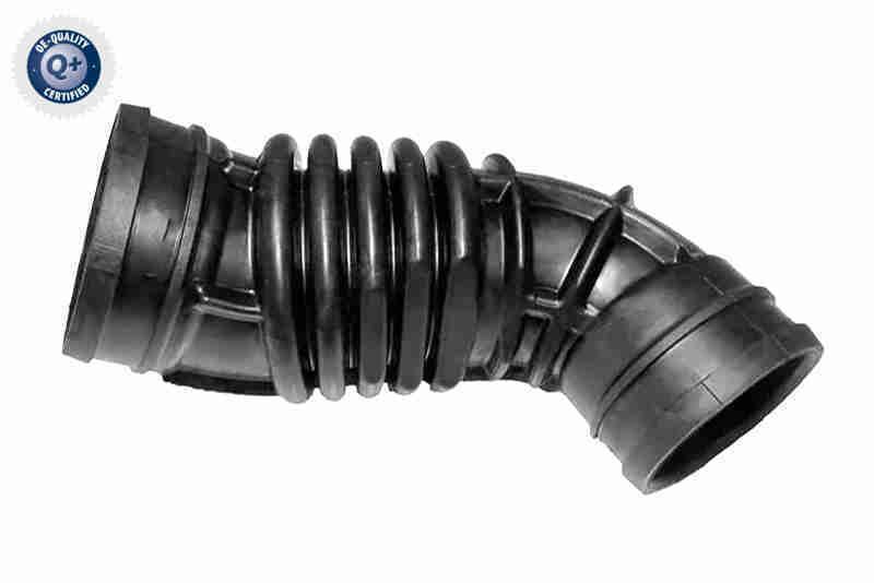Intake Hose, air filter - V24-1265