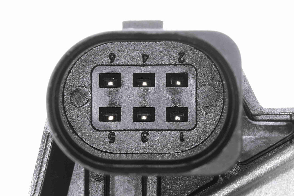 Throttle Body - V10-81-0075