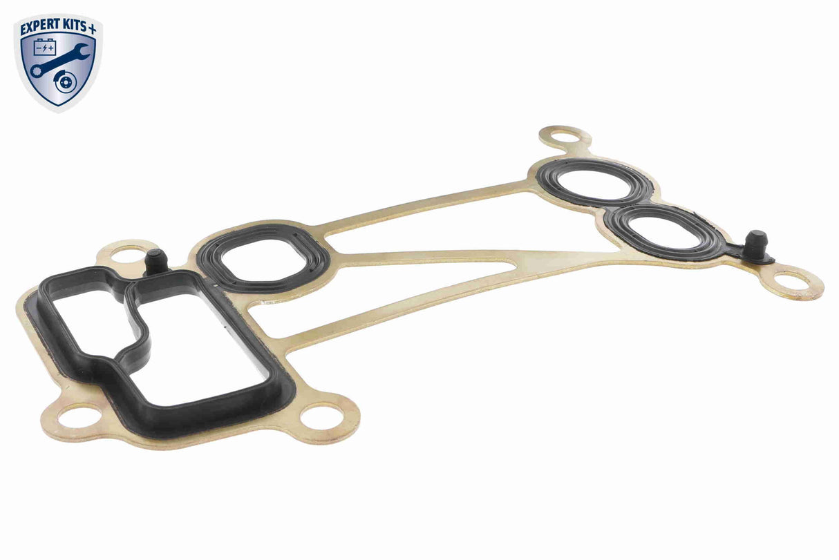 Oil Cooler, engine oil - V20-60-0056