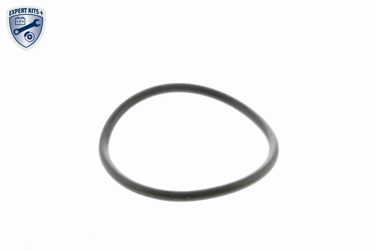 Thermostat, coolant - V15-99-2068