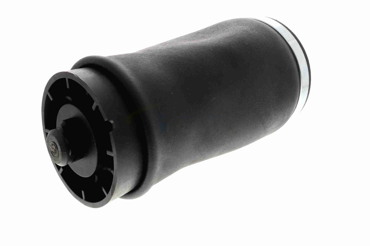 Air Suspension Strut - V20-50-0004-1