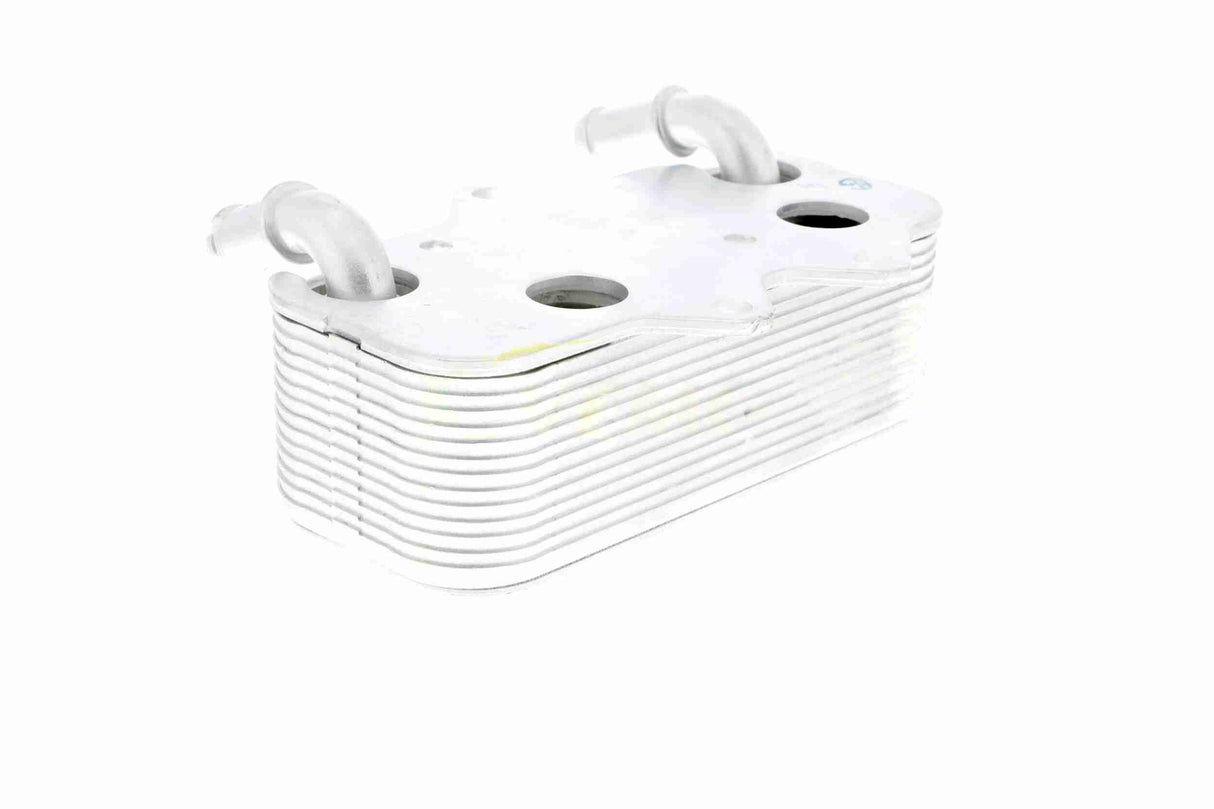 Oil Cooler, engine oil - V40-60-2096