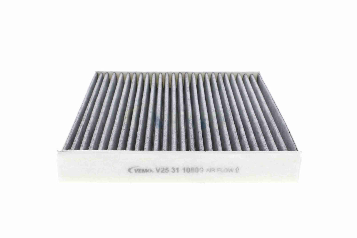 Filter, cabin air - V25-31-1080