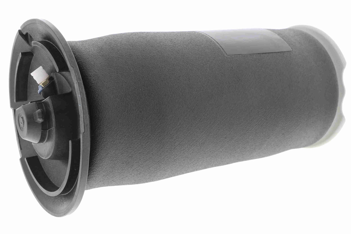 Air Suspension Strut - V20-50-0023