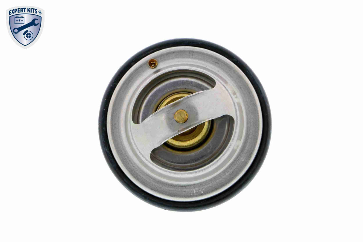 Thermostat, coolant - V30-99-2256