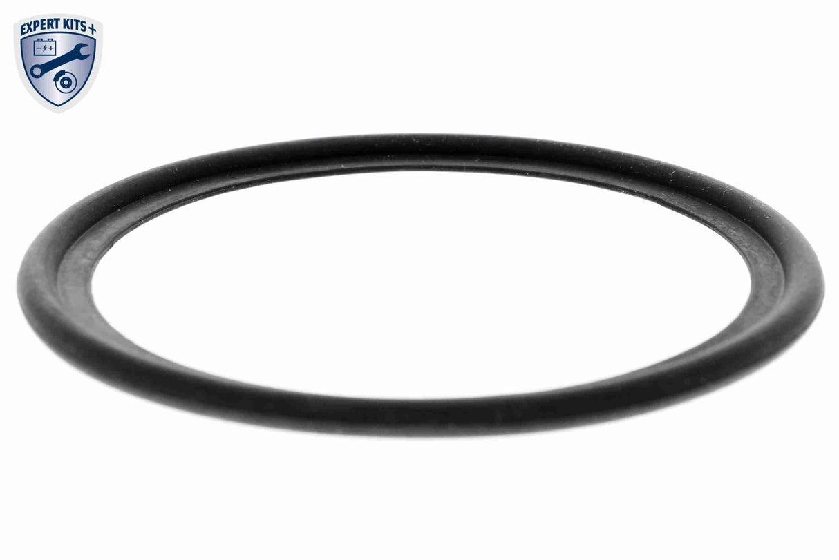 Oil Cooler, engine oil - V25-60-0046