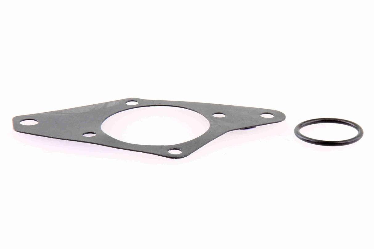 Water Pump, engine cooling - V24-50013