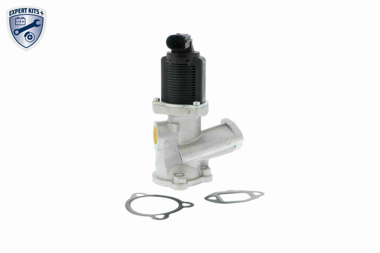 Valve, exhaust gas recirculation - V40-63-0016