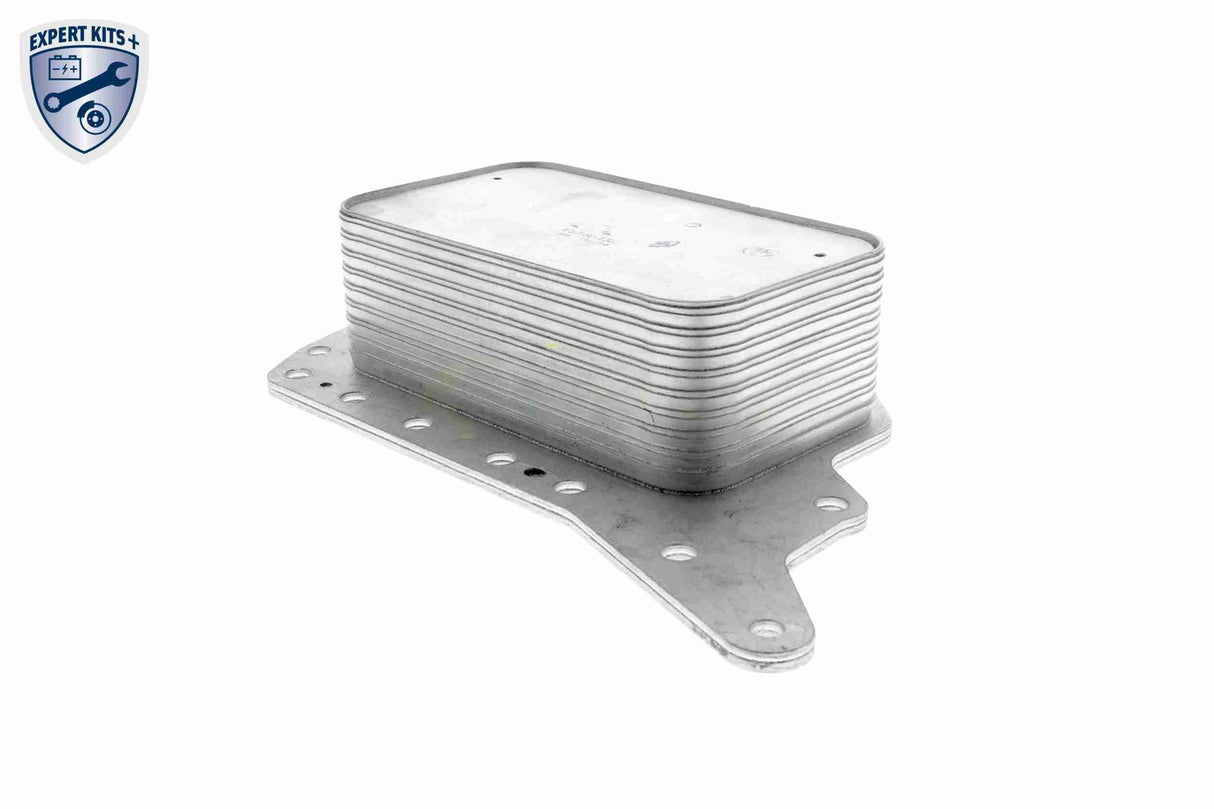 Oil Cooler, engine oil - V30-60-1322