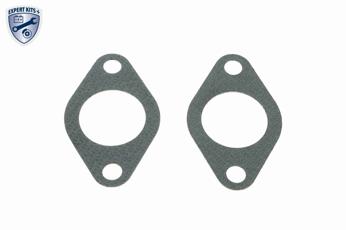 Valve, exhaust gas recirculation - V48-63-0001