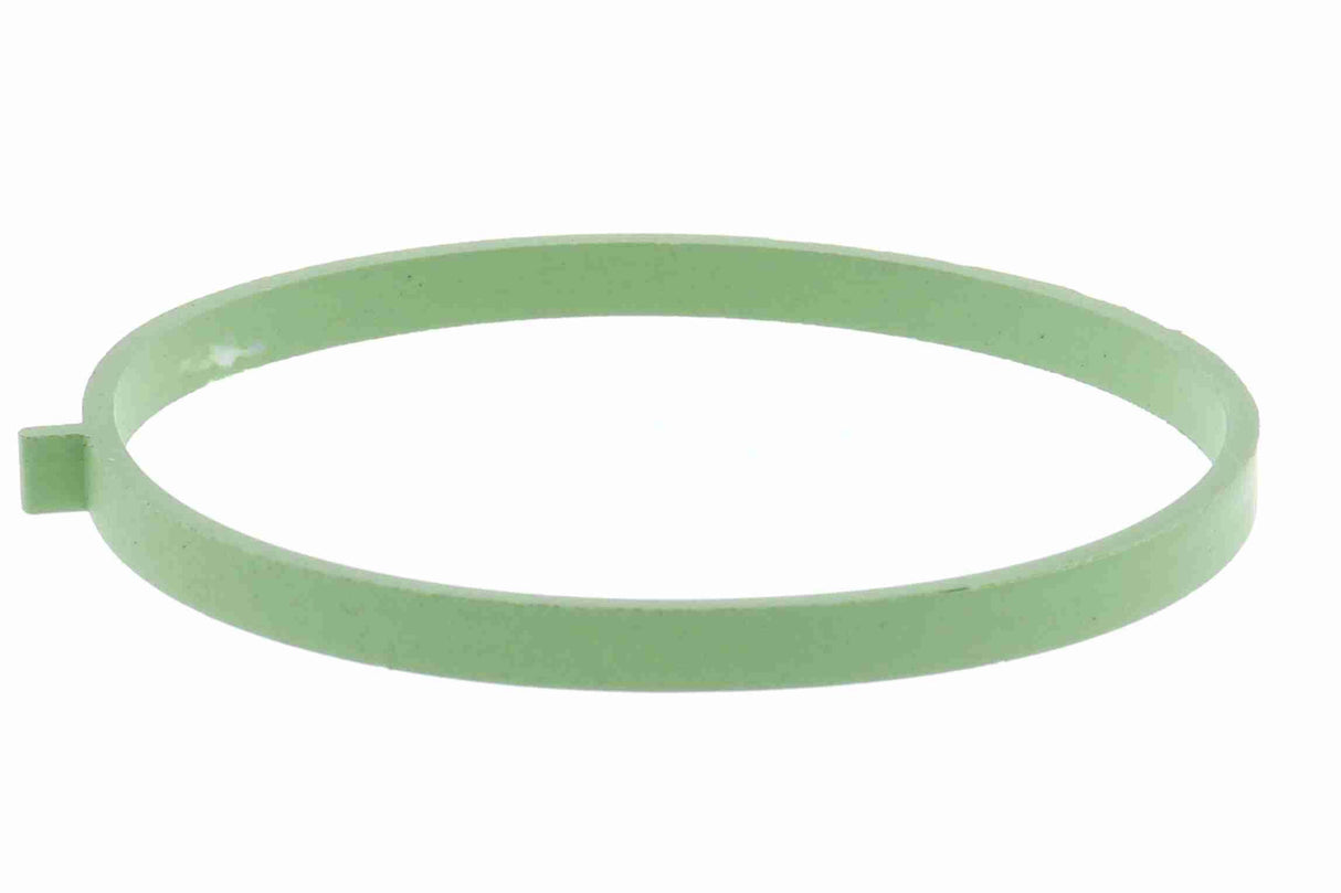 Gasket, throttle body - V10-81-0130