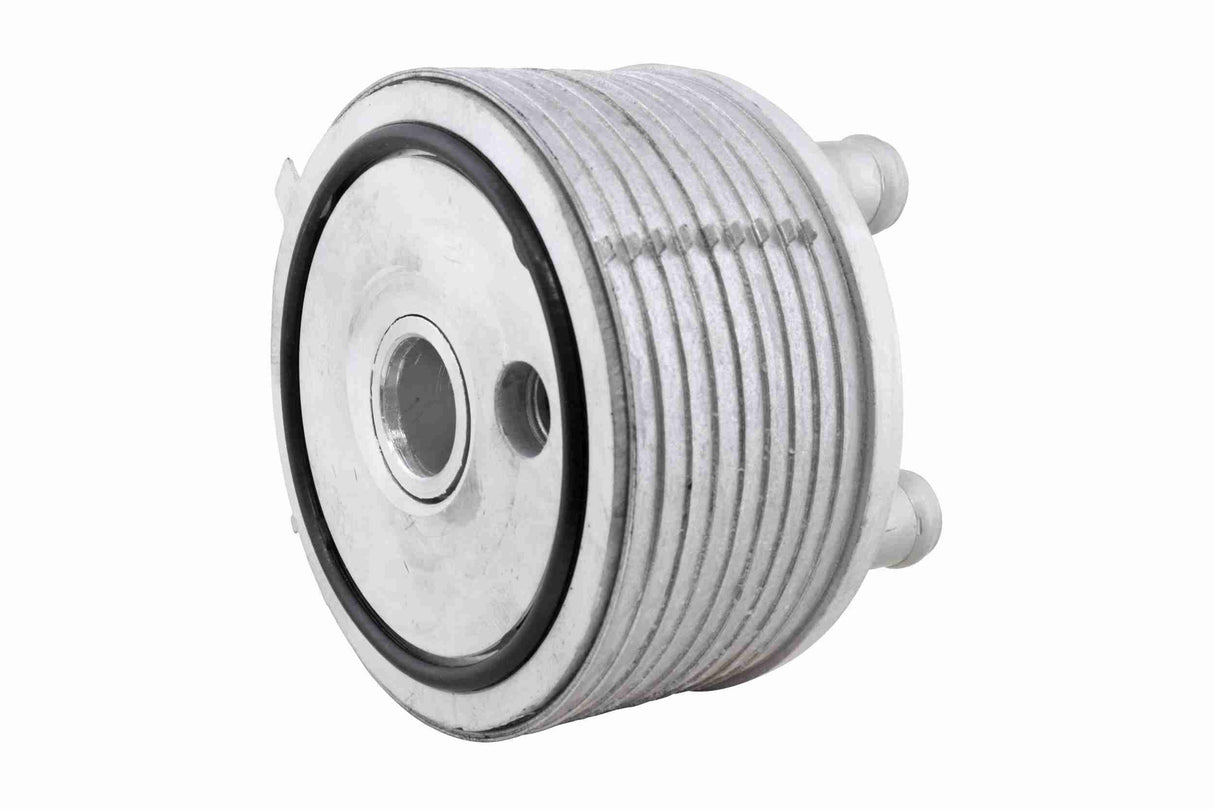 Oil Cooler, automatic transmission - V20-60-0101