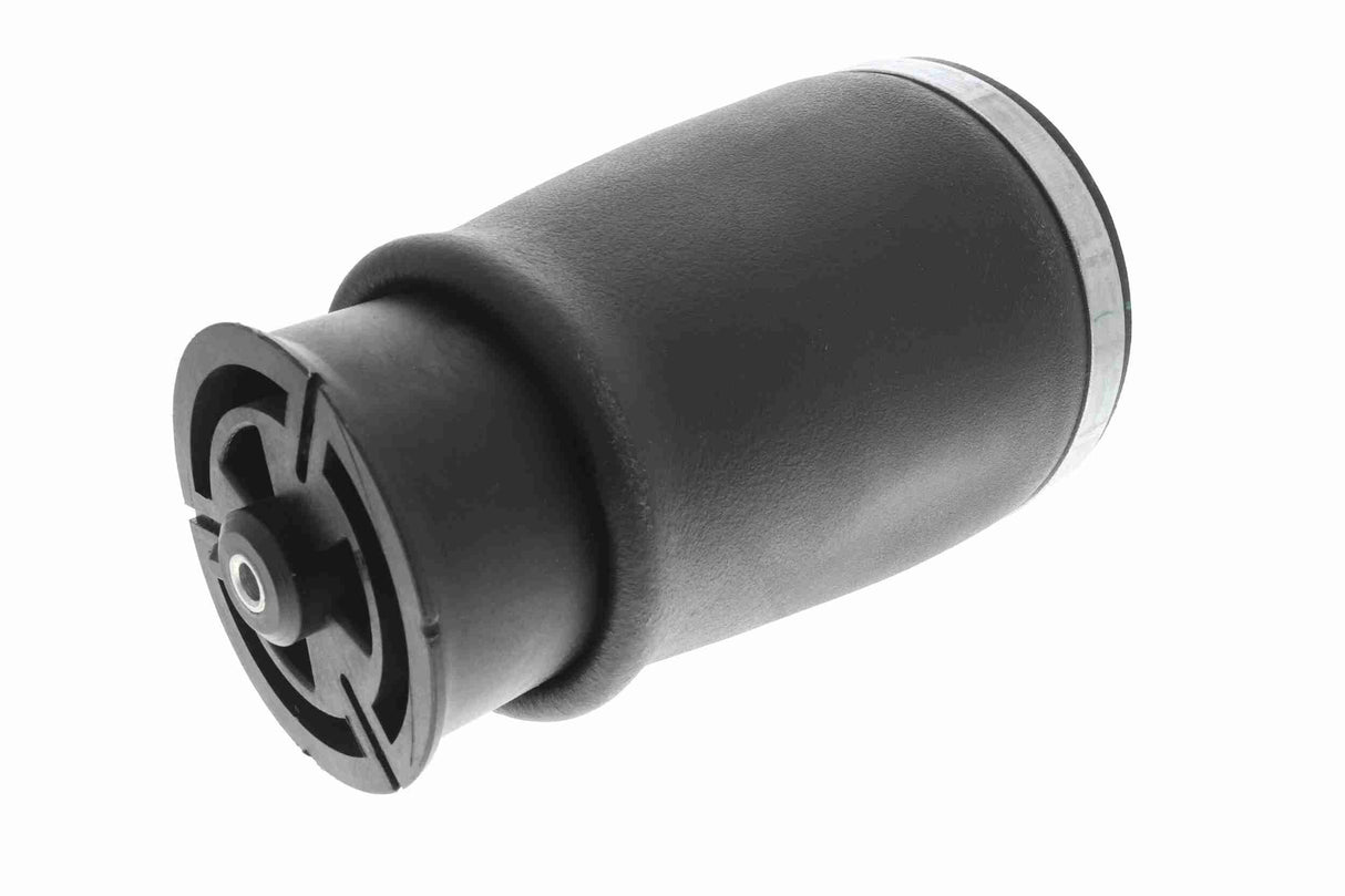Air Suspension Strut - V20-50-0021-1