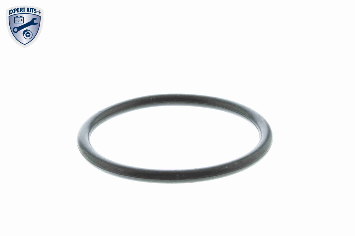 Thermostat, coolant - V15-99-1894