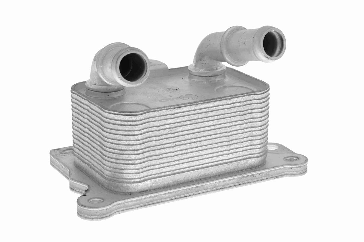 Oil Cooler, engine oil - V30-60-1348