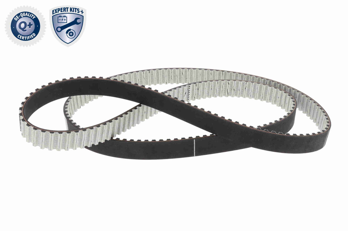 Timing Belt Kit - V40-2226
